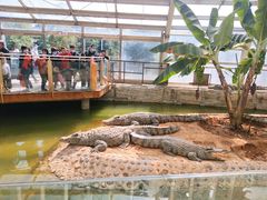 -石家庄市动物园