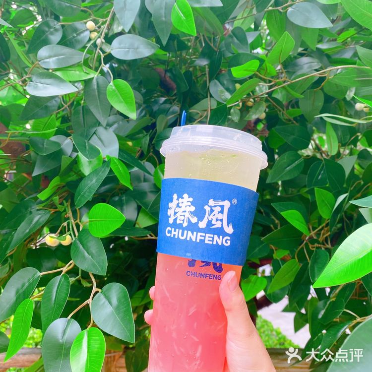 融合中式养生茶，清凉一夏