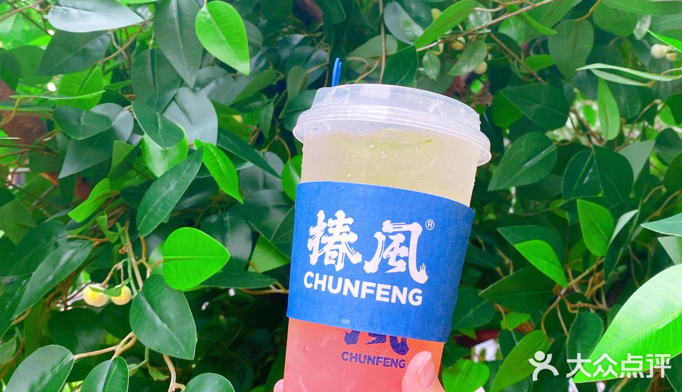 融合中式养生茶，清凉一夏