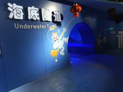 -重庆欢乐海底世界
