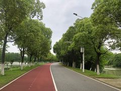 -艾溪湖湿地公园