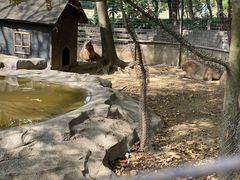 -宁波野生动物园