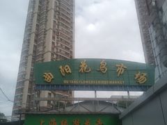 -曲阳花鸟市场(曲阳路店)
