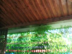 -中家鑫园温泉酒店鑫悦汤泉