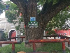 -洛阳周公庙博物馆