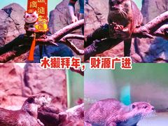 -正佳极地海洋世界