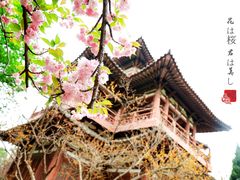-西安青龙寺遗址景区