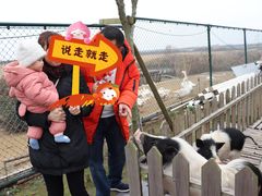 -上海崇明金茂凯悦酒店