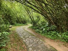 -开平碉楼文化旅游区马降龙景区