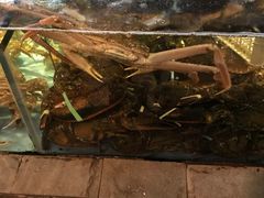 -蟹之国·精品蟹料理(极地店)