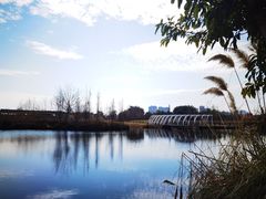 -眉山湿地公园(东坡区)