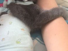 -纳吉亚猫专科动物医院博雅分院