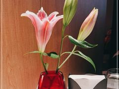 -Solo(衡山路店)
