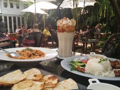 -Fern Forest Cafe