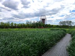 -永定河休闲森林公园