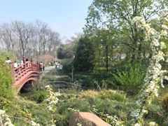 -前小桔亲子创意农场·草莓采摘·露营烧烤