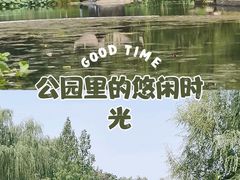 -陶然亭公园