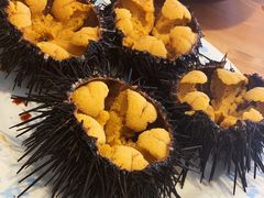 生海胆-海胆小馆(东北水饺·春柳店)