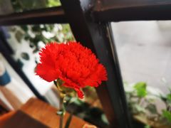 -鉴川·川菜传承(星汇两江店)