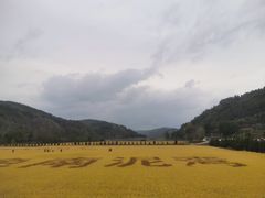 -南泥湾风景区