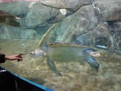 -福州罗源湾海洋世界旅游区