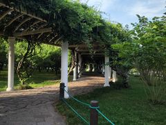 -苏州上方山国家森林公园