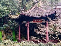 -杭州黄龙洞