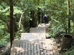 -紫金山山顶公园