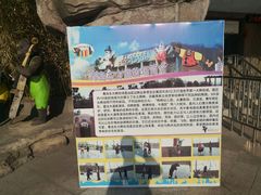 -东方熊牧场