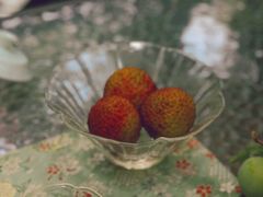 -茅庐·川粤精品私房菜(金沙遗址店)