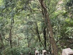 -东莞观音山旅游风景区