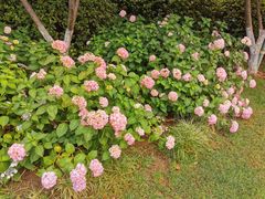 -常州古运河南大街文化旅游区-人民公园