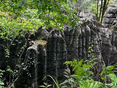 -梭布垭石林景区