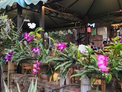 -火咂咂竹筒宴(告庄店)