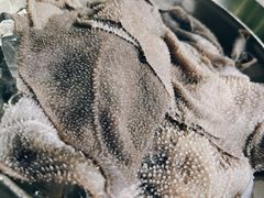 -铜元老码头鳝鱼火锅