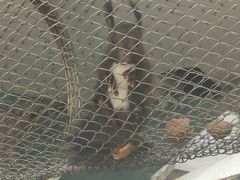 -南戴河国际娱乐中心