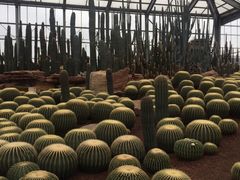 -南通洲际绿博园