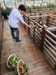 点击看大图 -小蜜蜂农场(凯德七宝购物广场店)