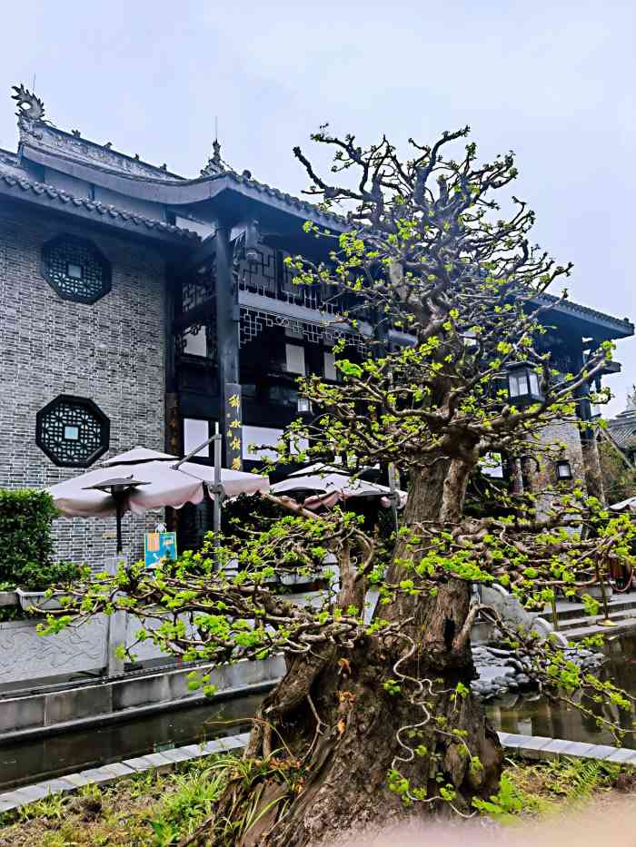 五岳宫·私房菜-"这餐晚宴是我们小两口这次重庆,成都之旅的.