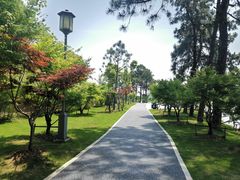 -月湖风景区