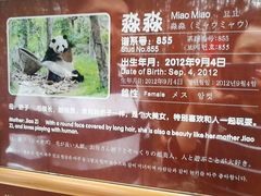-成都保利公园皇冠假日酒店(熊猫基地店)