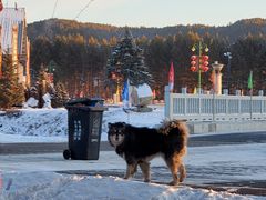 -北极村旅游风景区