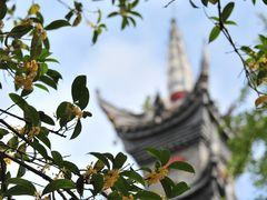 -中国观音故里广德景区