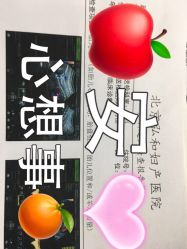 -育学园北京弘和妇产医院