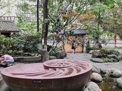 -成都市活水公园