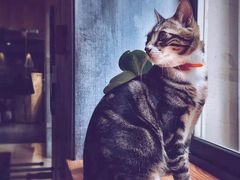 -P2·创客中心(东海广场店)