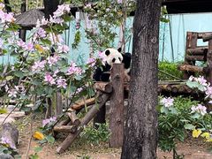 -南宁市动物园