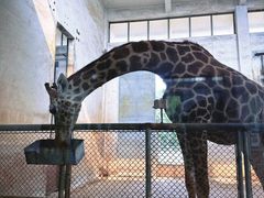 -石家庄市动物园