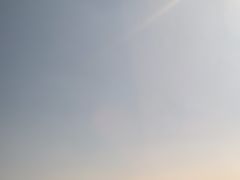 -合肥滨湖国家森林公园