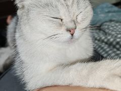 -东日国际动物医院·CT·心脏专科(桃源分院)